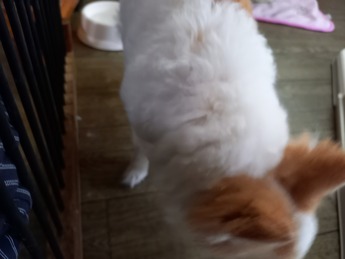 20220529_145140