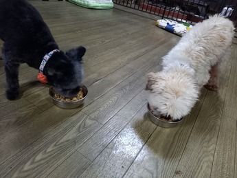 20210928_171417