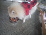 50df4b31.jpg