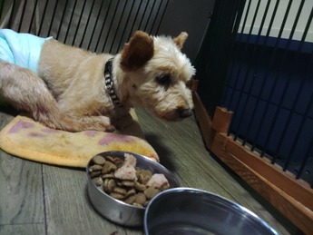 KIMG0892