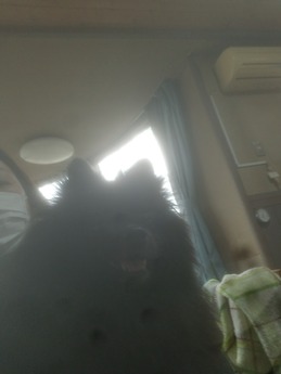20190430_092436