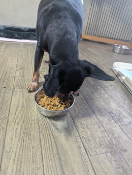 MP