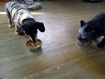20220527_170620