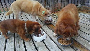 IMG_20180927_160244
