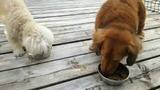 781bc601.jpg