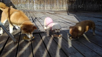 KIMG0851