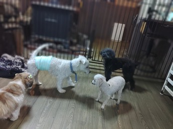 KIMG0072_01_BURST1010072_COVER