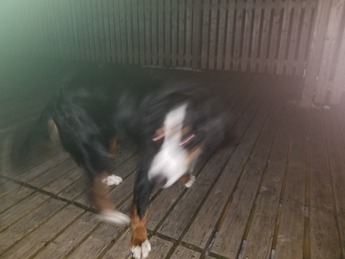 20190129_180701