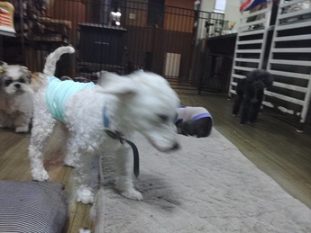 KIMG0069_02_BURST1010069