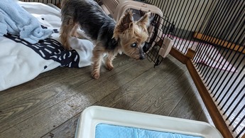 PXL_20230624_045620661