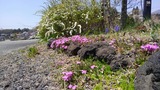 92008067.jpg