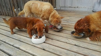 IMG_20180831_164623