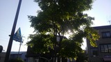 97622c8a.jpg