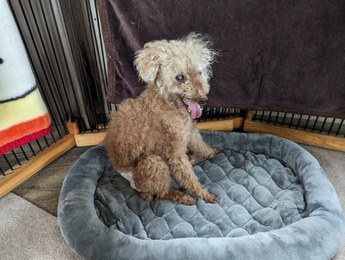 PXL_20230808_055909127