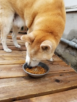 20190529_085109