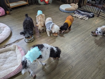 MP