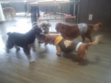 a5e7753f.jpg