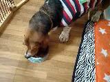 ab76e133.jpg