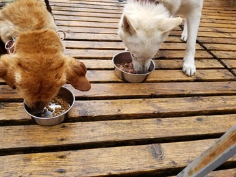 20190430_083133