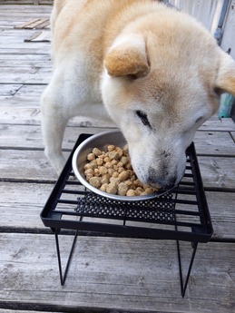 20220430_165659