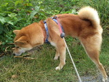 b0d05931.jpg