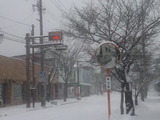 b196c3a8.jpg