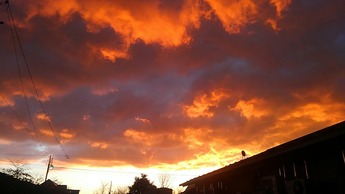 IMG_20181030_060955