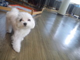 b6d08705.jpg