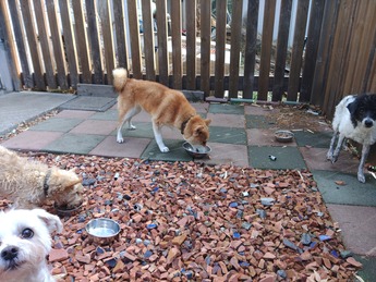 KIMG8689