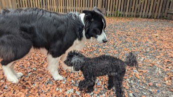 PXL_20240715_055544794