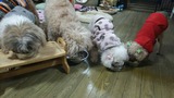 c959c9a8.jpg