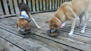 IMG_20180831_163307