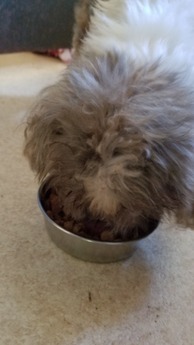20180730_084423