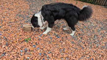 PXL_20240715_055355601