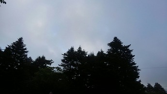 IMG_20180731_054340