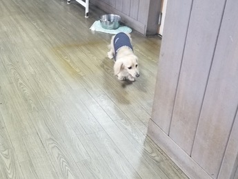 20190429_162801