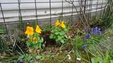 ef31874f.jpg