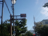 f099313f.jpg