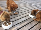 f6e17cb4.jpg