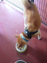 fb078f77.jpg