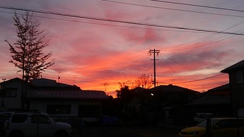 IMG_20181031_055516