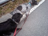 fe0d26bc.JPG