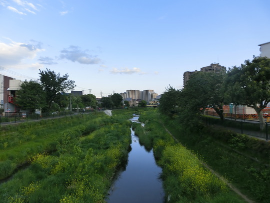 CIMG6756