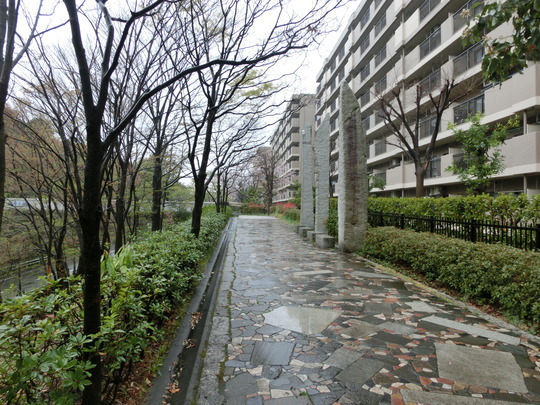 CIMG5549