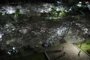 市役所展望台から