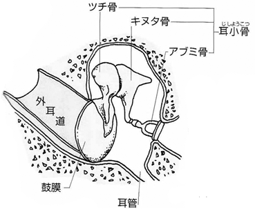 ASTATIC D104-M6B : JHGのブログ ASTATIC D104-M6B : JHGのブログ