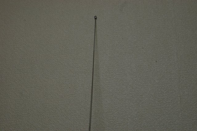 IMGP5403