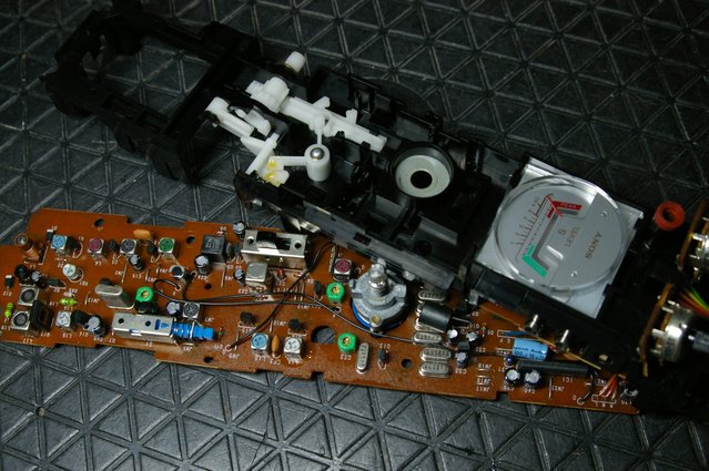 IMGP6247