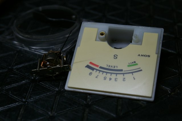 IMGP6173