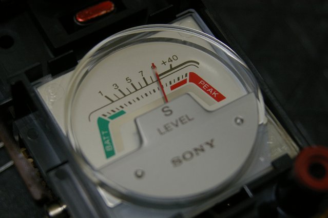 IMGP7226